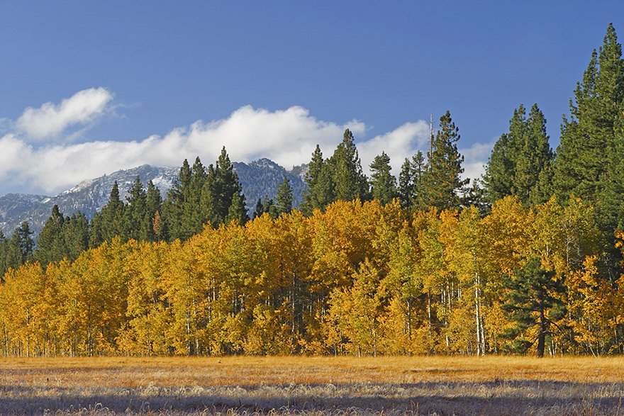 Fall Colors at Lake Tahoe